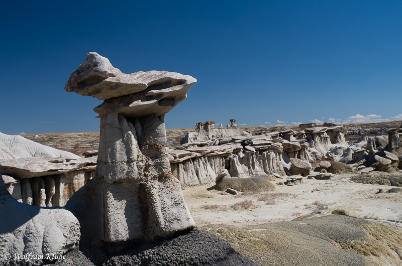 Bisti Wilderness