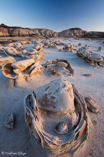 Bisti Wilderness