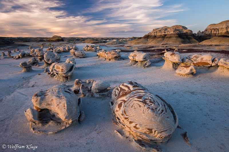 Bisti Wilderness