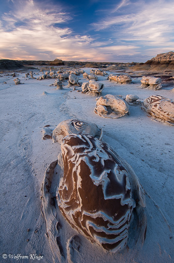 Bisti Wilderness