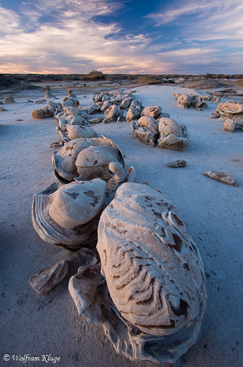 Bisti Wilderness