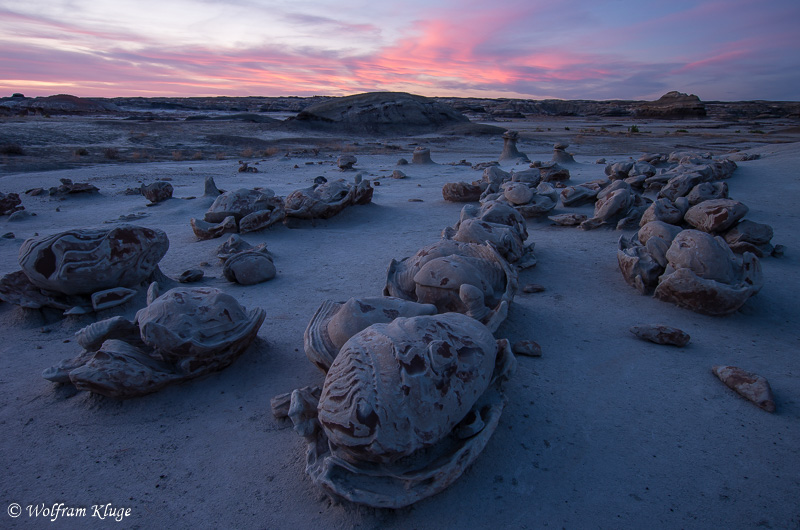 Bisti Wilderness