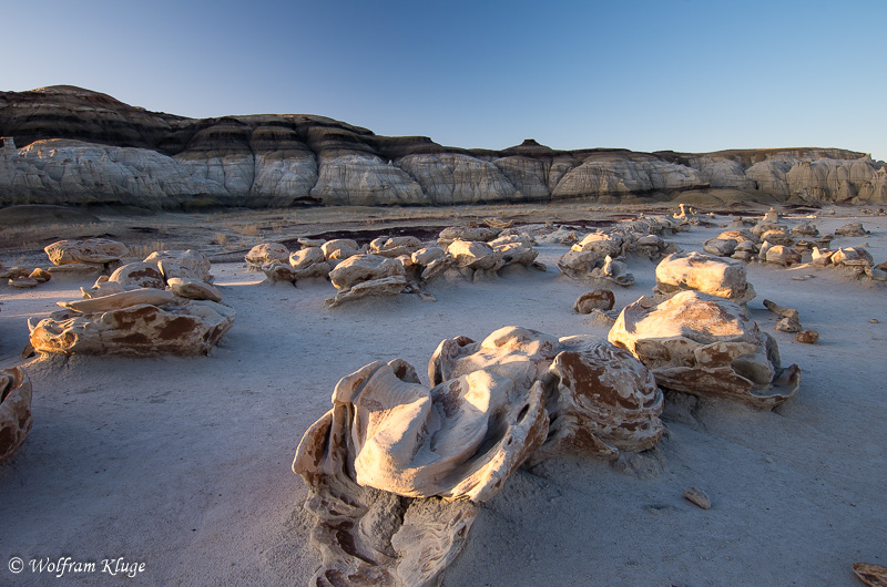 Bisti Wilderness