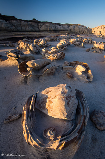 Bisti Wilderness