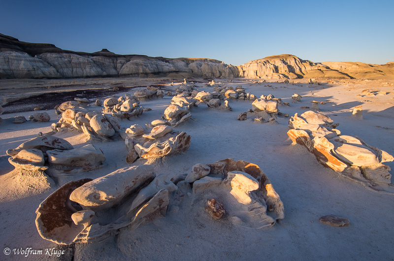 Bisti Wilderness