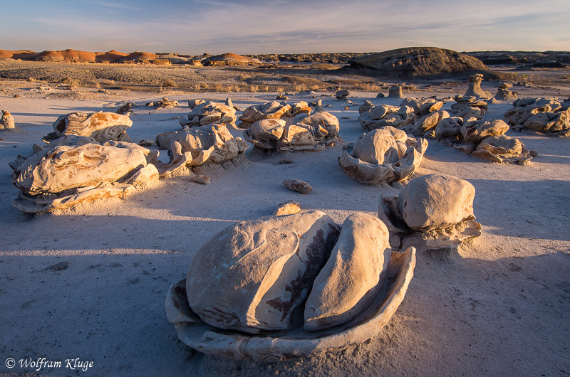 Bisti Wilderness