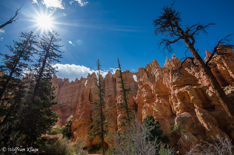 Bryce Canyon