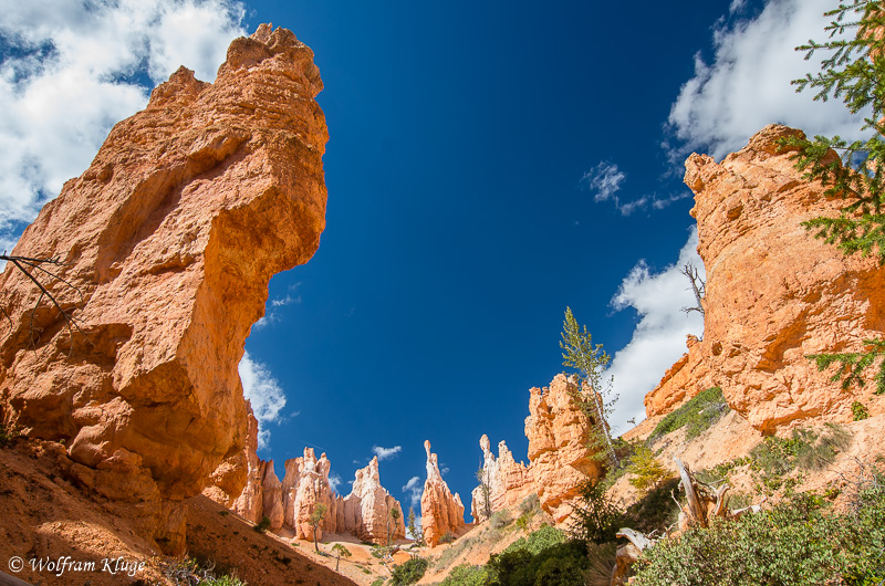 Bryce Canyon