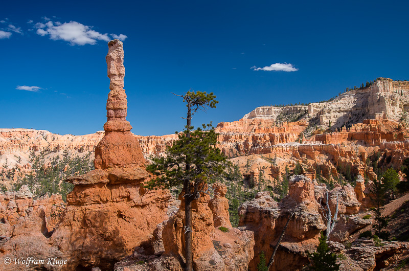 Bryce Canyon