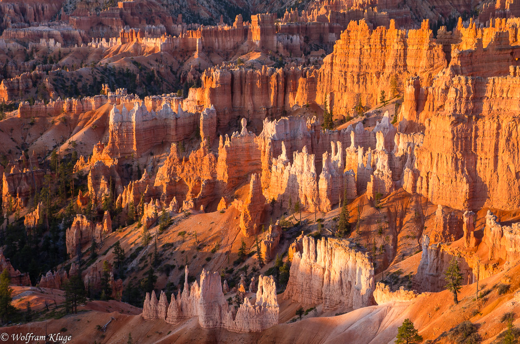 Brice Canyon Sunrise