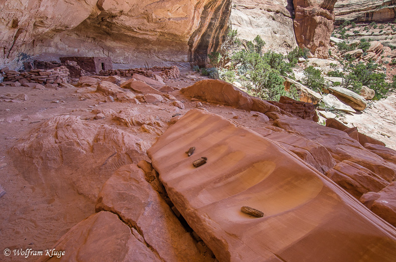 Perfect Kiva in Bullet Canyon