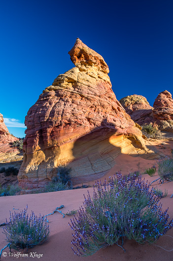 Coyote Buttes South