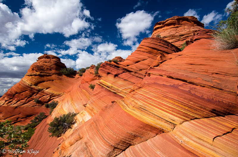 Coyote Buttes South