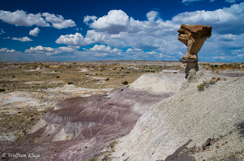 De-Na-Zin Wilderness