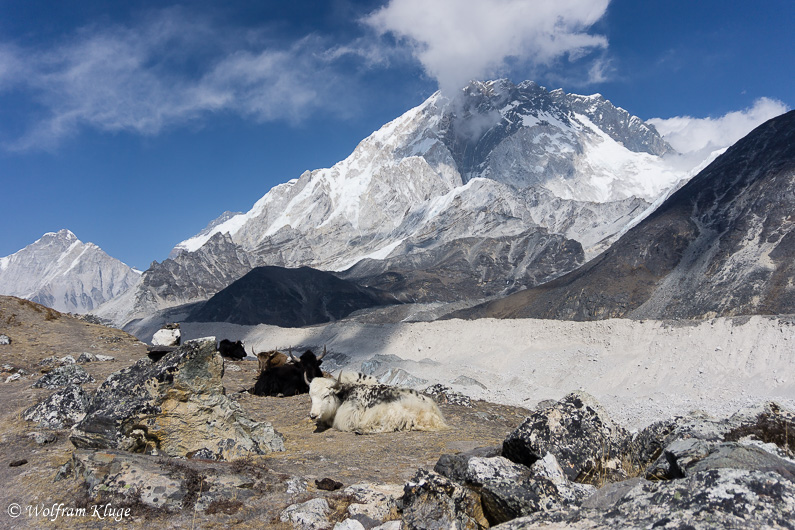 auf der Moräne bei Lobuche