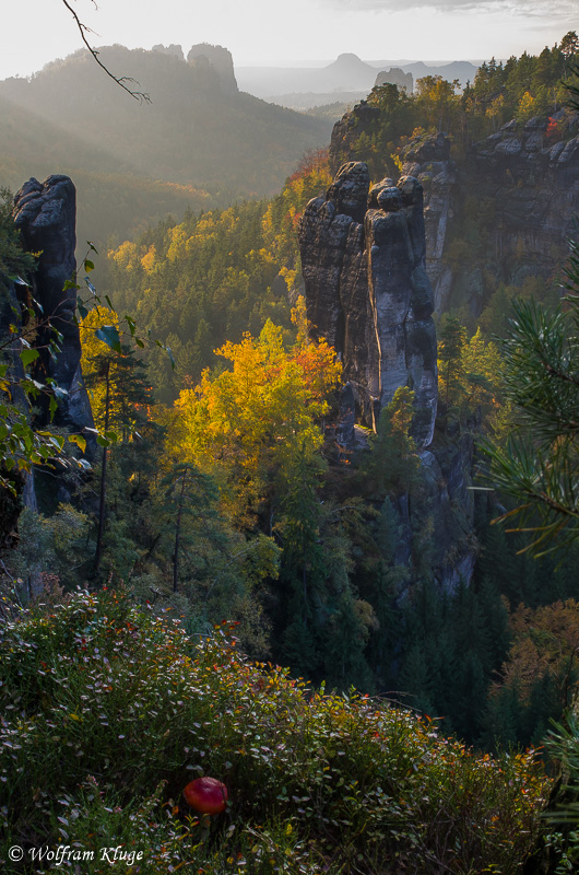 Domwächter, Affensteine, Elbsandsteingebirge