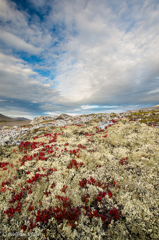 Rondane, Norwegen