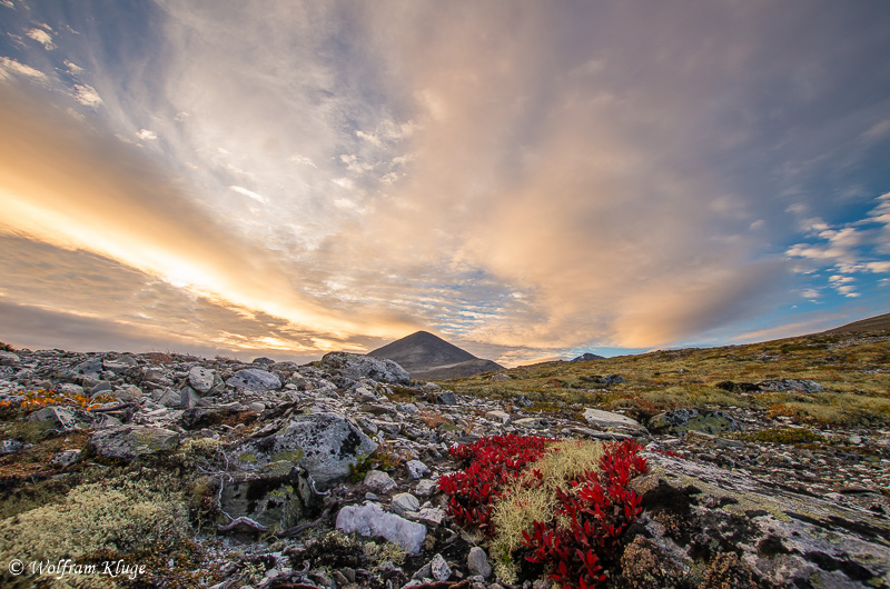 Rondane, Norwegen