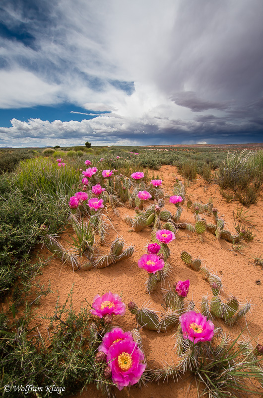 Grand Staircase Escalante National Monument