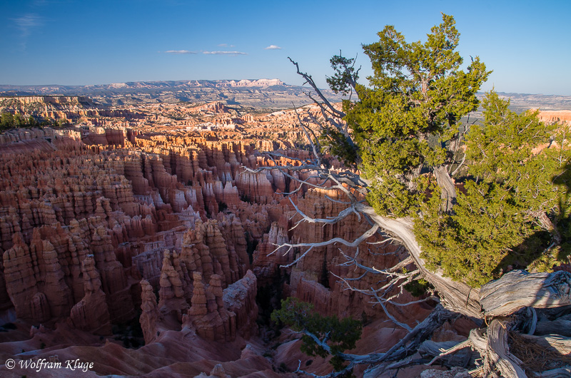 Bryce Canyon