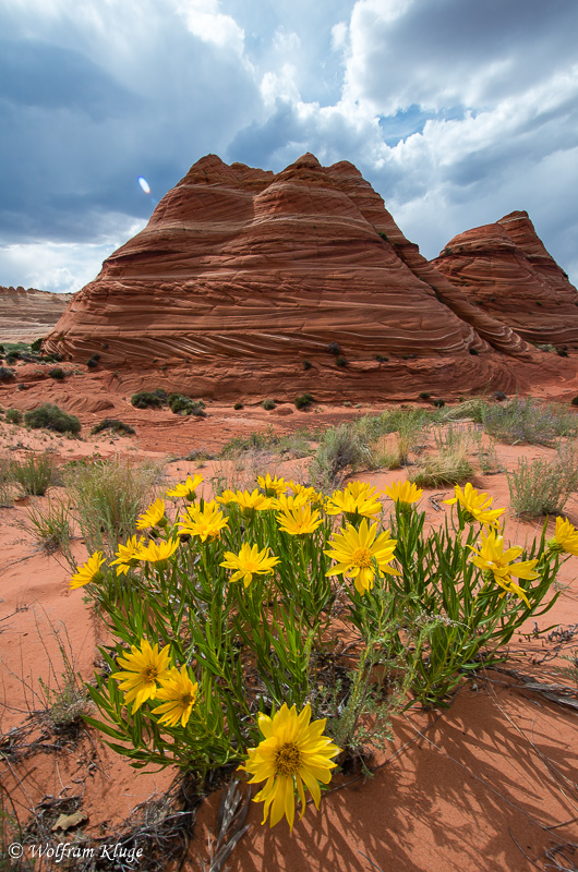 The South Teepees