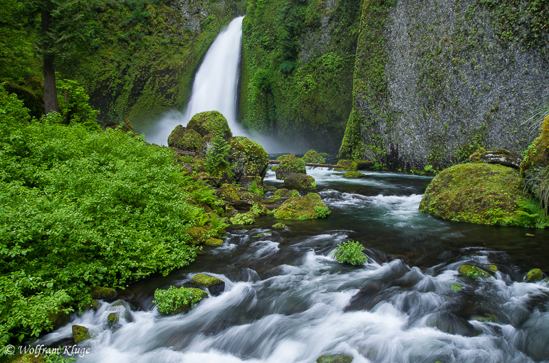 Wahclella Falls, Columbia River Gorge, Oregon