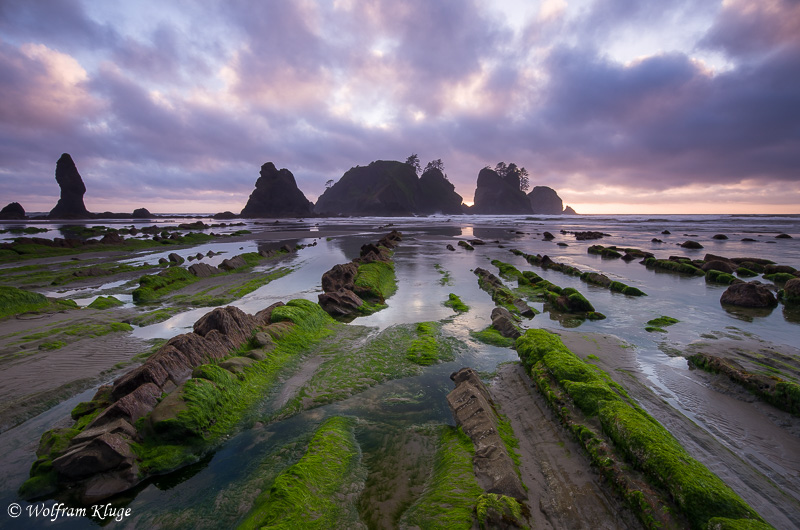 Shi Shi Beach, Washington