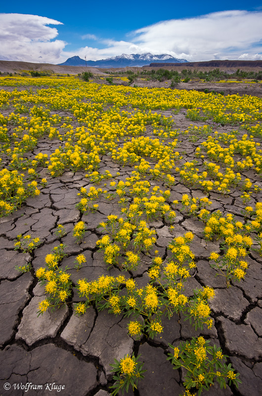 Badlands near Hanksville