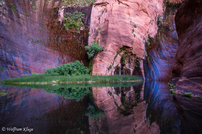 Coyote Gulch, Abstecher zum Pool