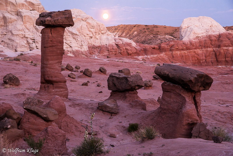 Hoodoos im Mondschein