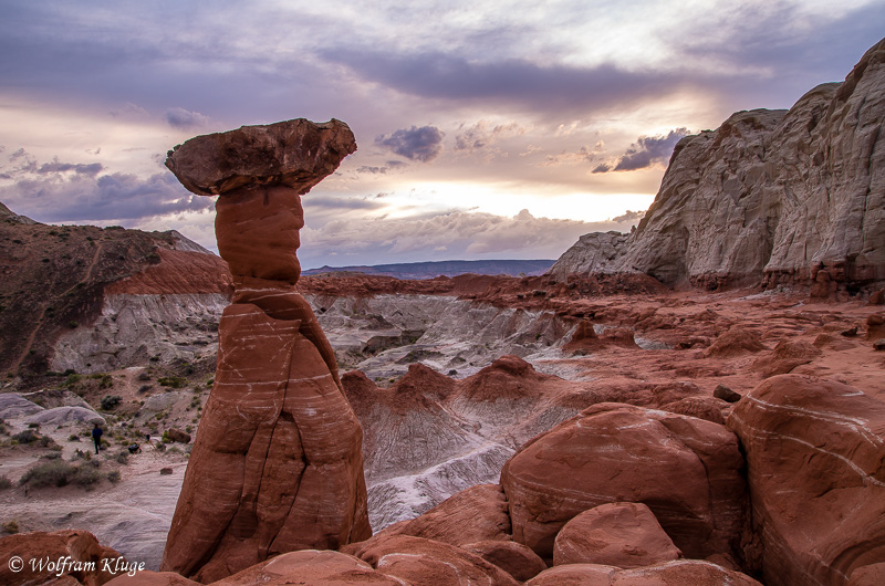 Toadstool Hoodoo