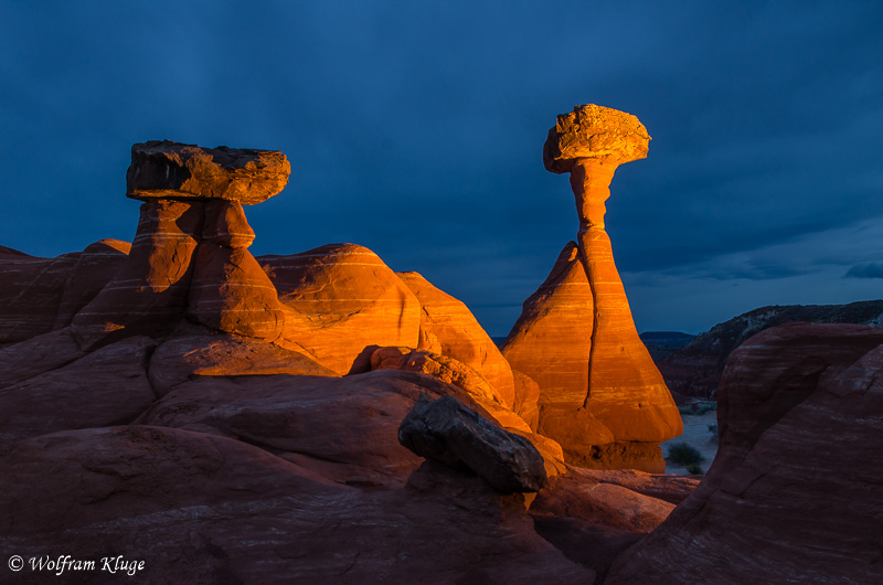 Toadstool Hoodoo