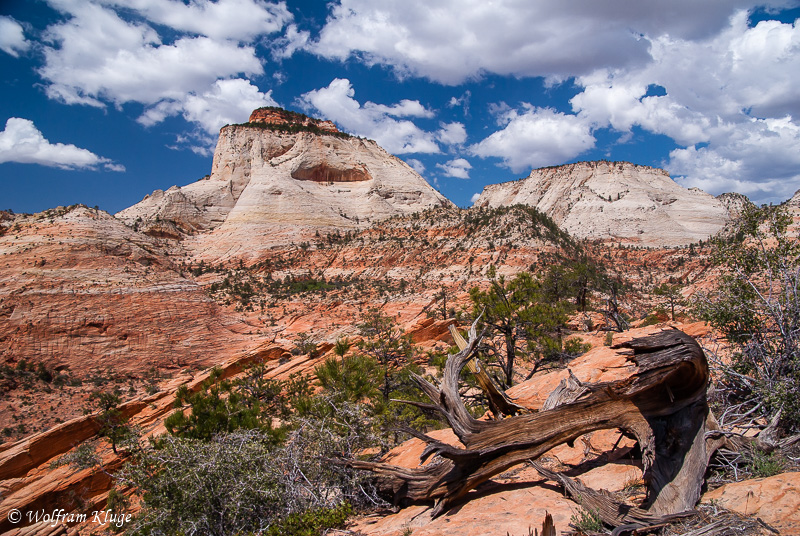 White Throne, Zion NP