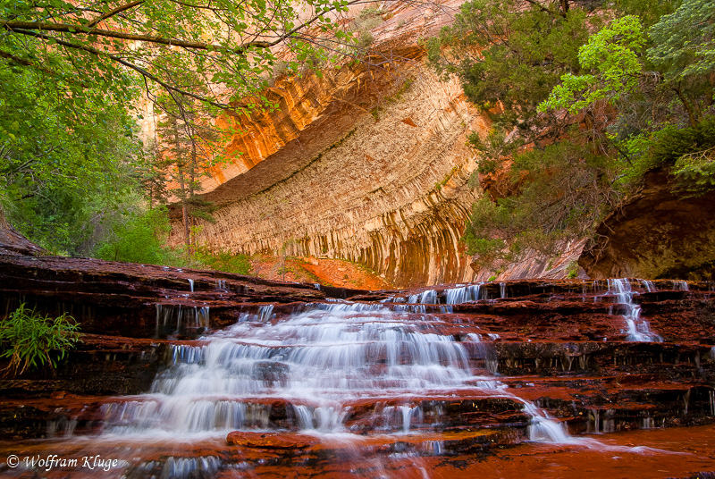 Zion NP