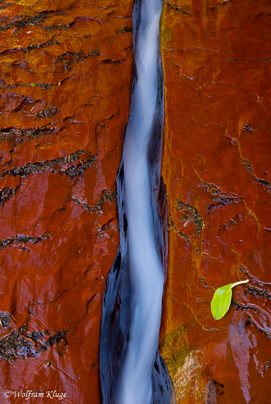 Zion NP