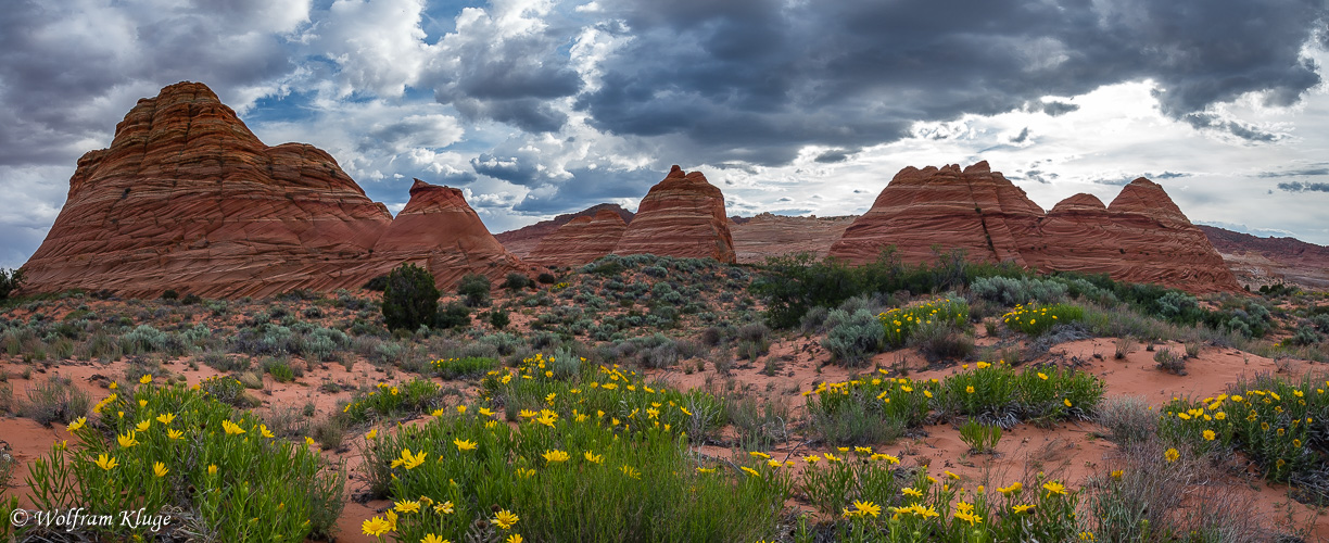 The South Teepees