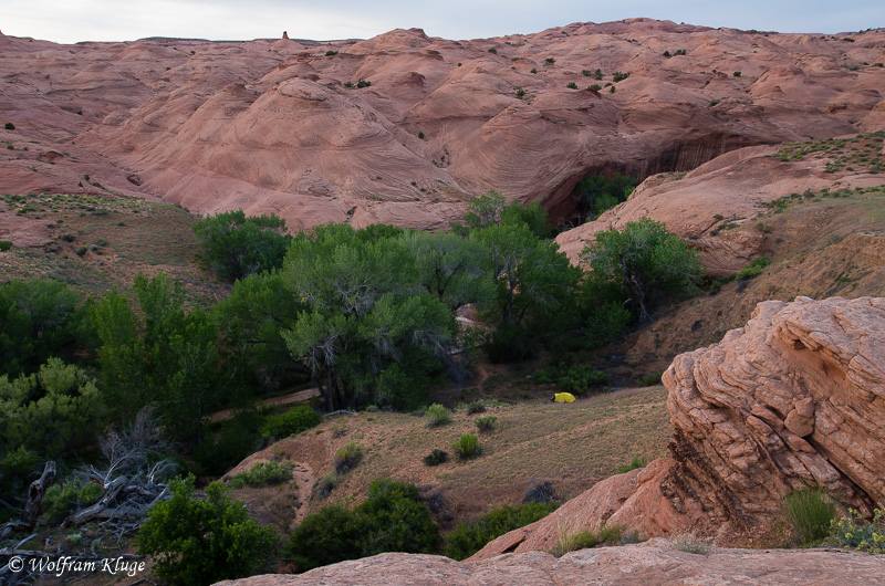 Fools Canyon Hike, Camp im Coyote Gulch