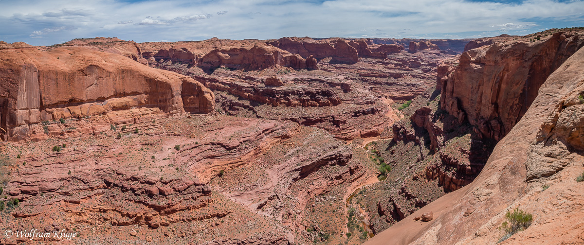 Blick in Fools Canyon