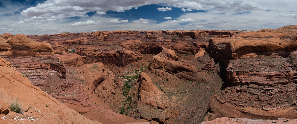 Fools Canyon View