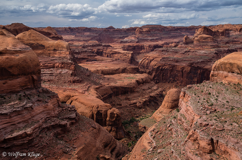 Fools Canyon / Escalante River Canyon