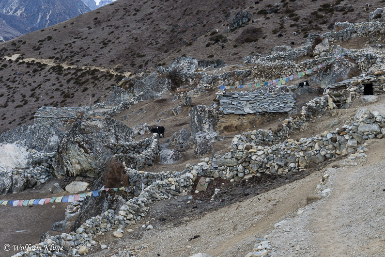 Thore, 4390m