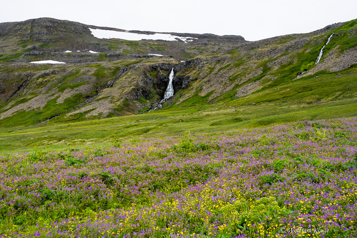 Glumsstadafoss beim Camp