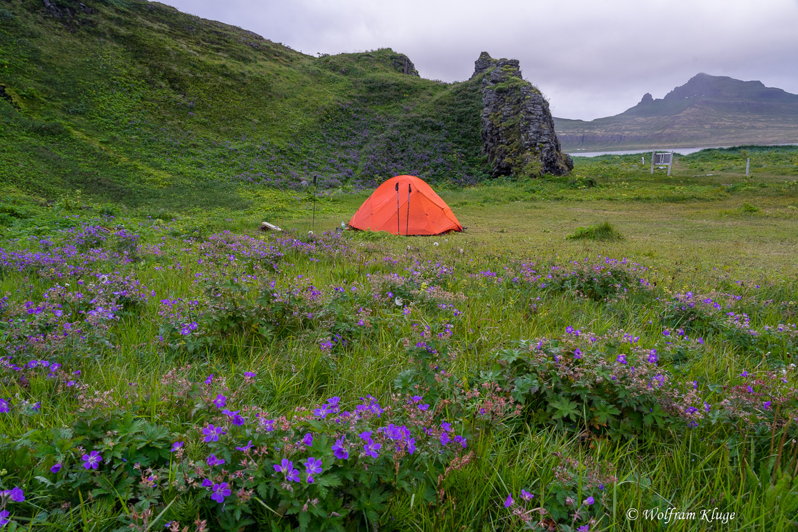 Camp in Hornvik