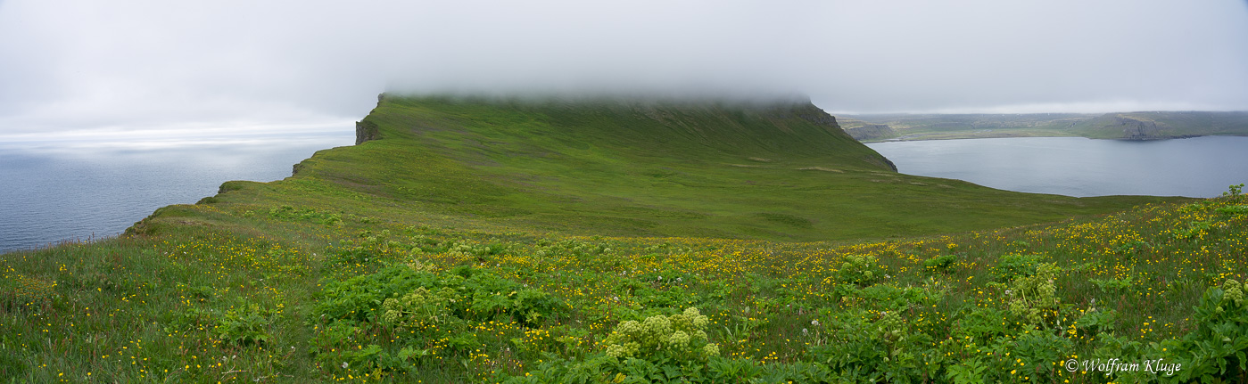 Hornbjarg Wanderung