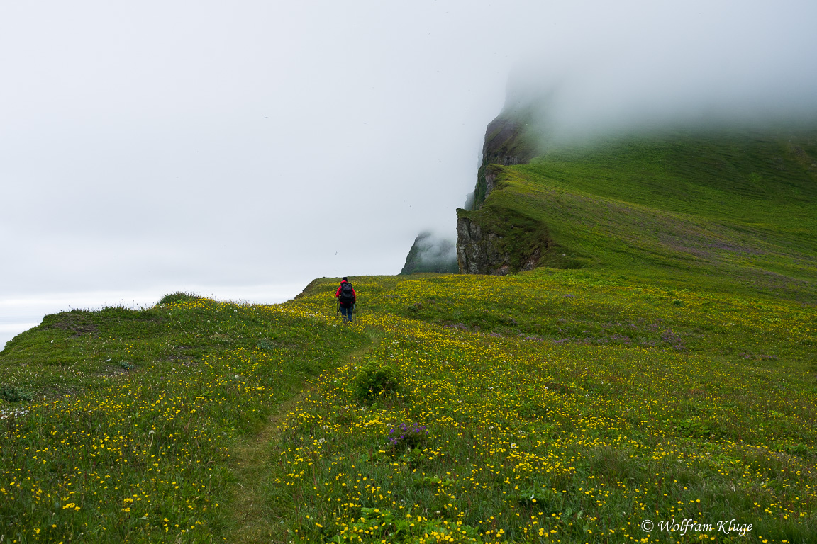 Hornbjarg Wanderung