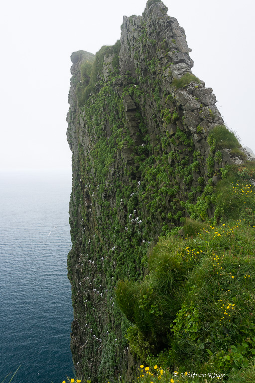 Hornbjarg Wanderung