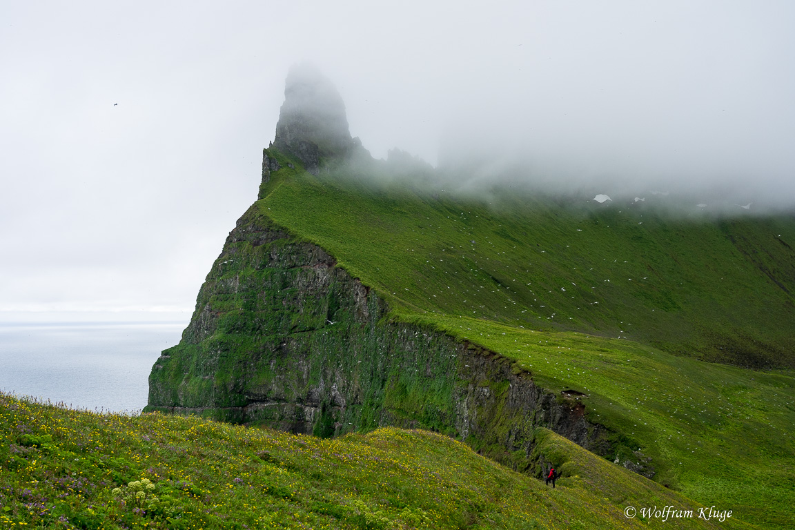 Hornbjarg Wanderung