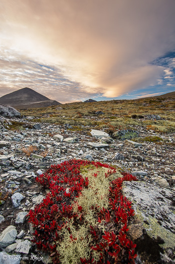 Sonnenaufgang im Verkilsdalen