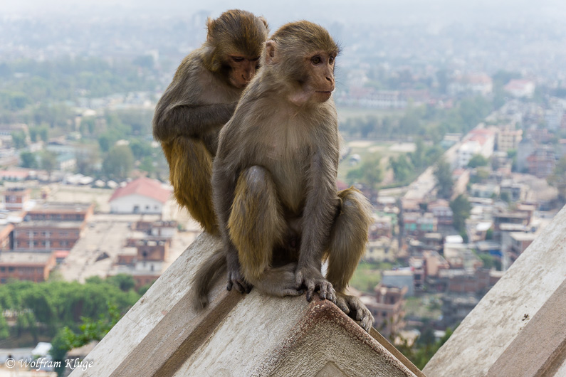 Swayambhunath Stupa in Kathmandu