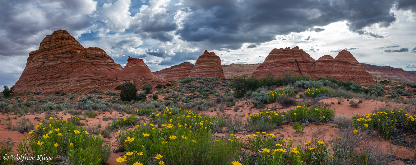 The South Teepees